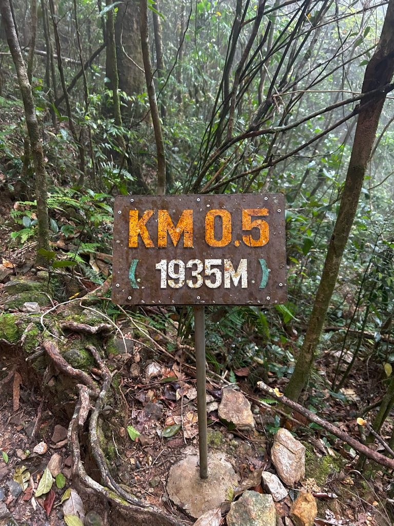 Mt Kinabalu Hike Guide