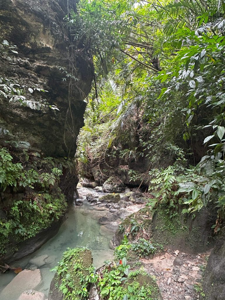 Waterfalls in South Cebu