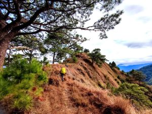 Mt Tuwato Hike Guide